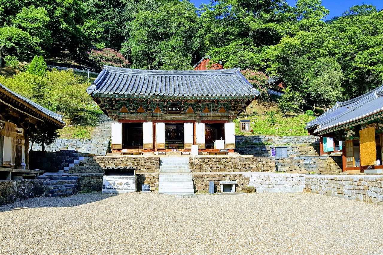 여름 — 한여름 짙은 숲에 안긴 장곡사. 배롱나무 꽃이 여름의 표식이다. ⓒRyu