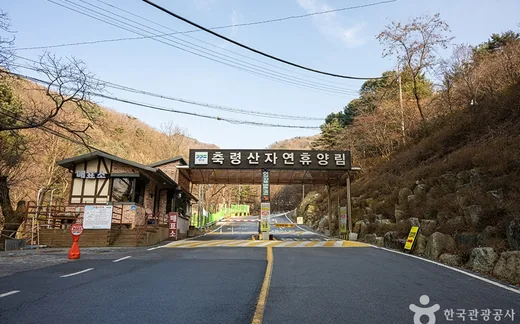 축령산