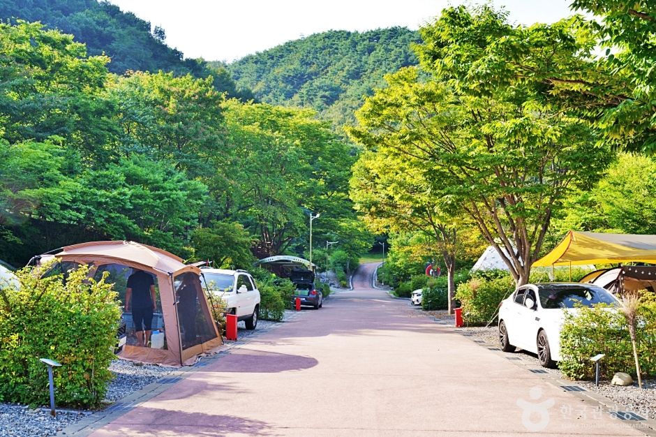 대둔산 수락캠핑장 전경