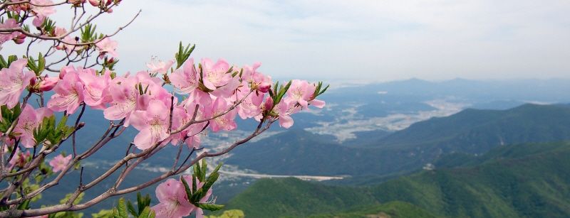 가지산