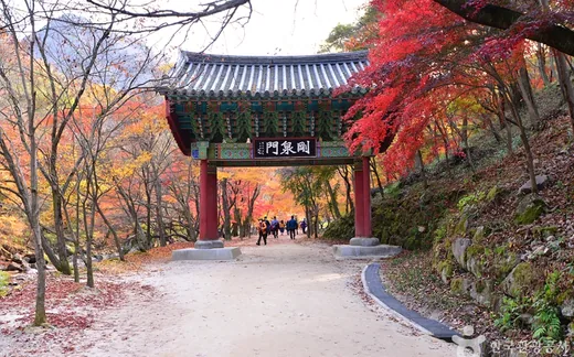 강천산
