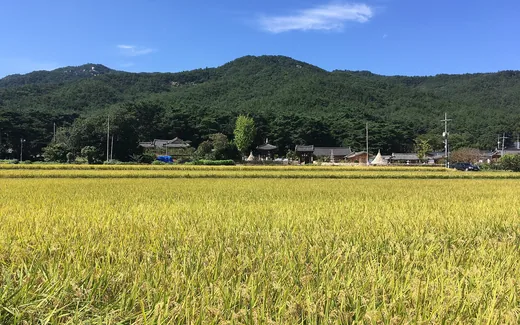 남산