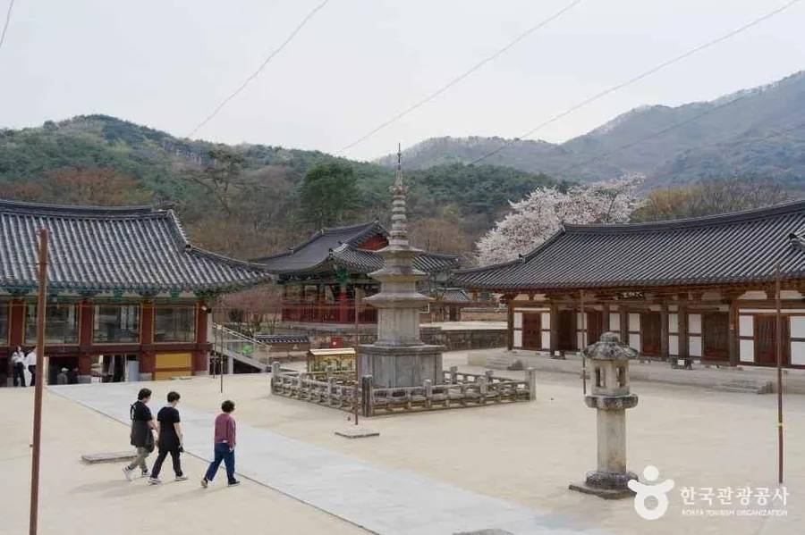 직지사. 황악산 산자락에 앉은 신라 고찰로 산행의 들머리이자 날머리다 ⓒ