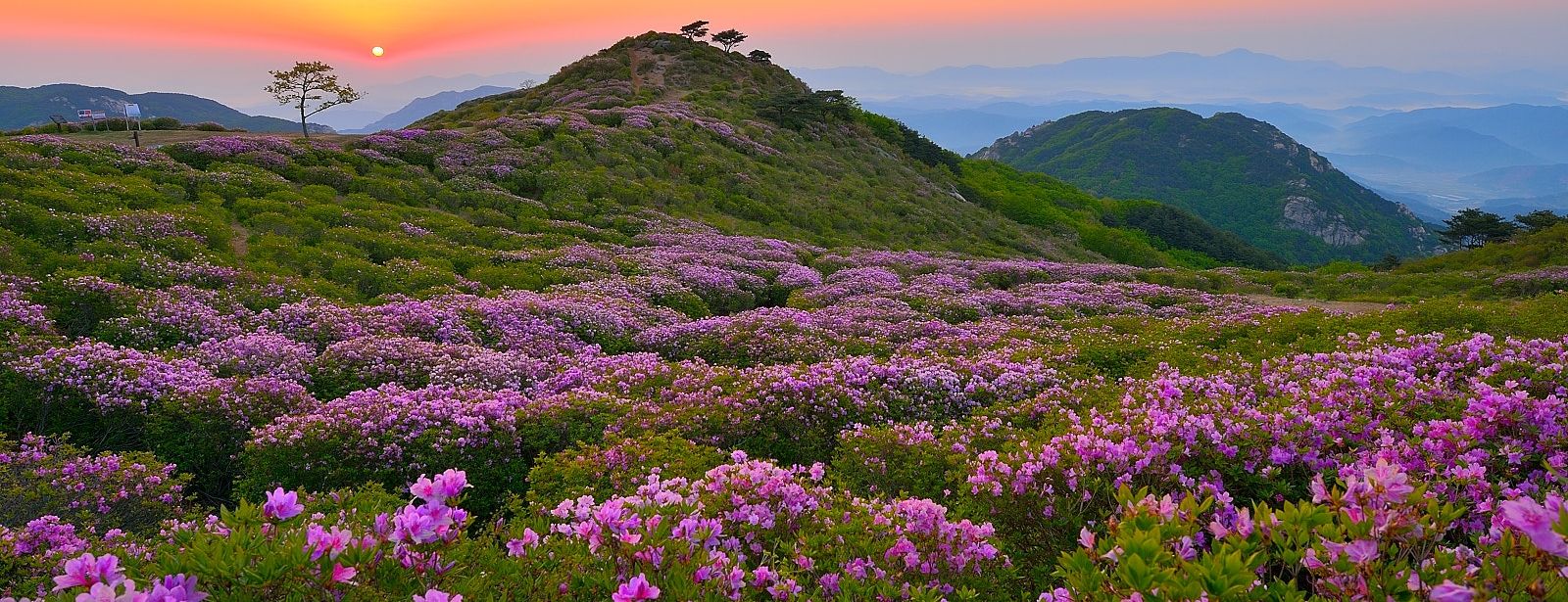 황매산