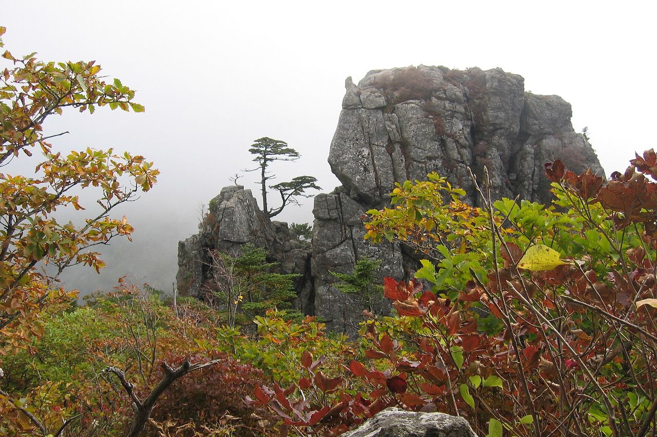 지리산 기암과 단풍