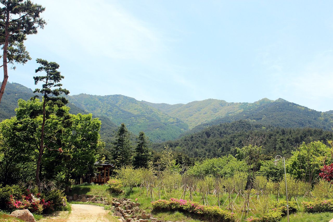 봄 — 늦봄, 신록에 잠긴 지리산 자락 ⓒ최옥석 · CC BY-SA 3.0