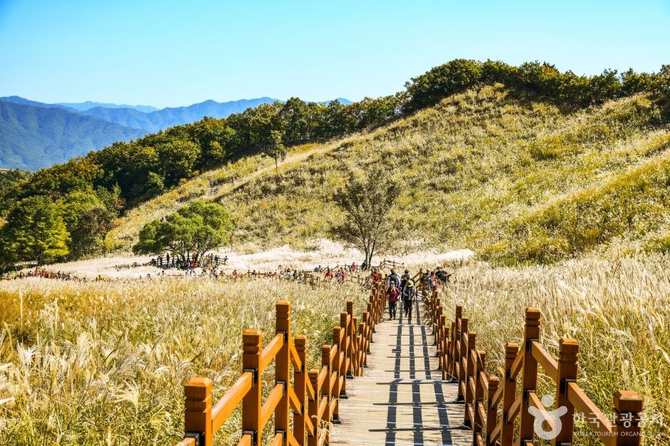 가을 — 억새 능선을 가르는 탐방 데크. 10월의 명성산 ⓒ한국관광공사 TourA