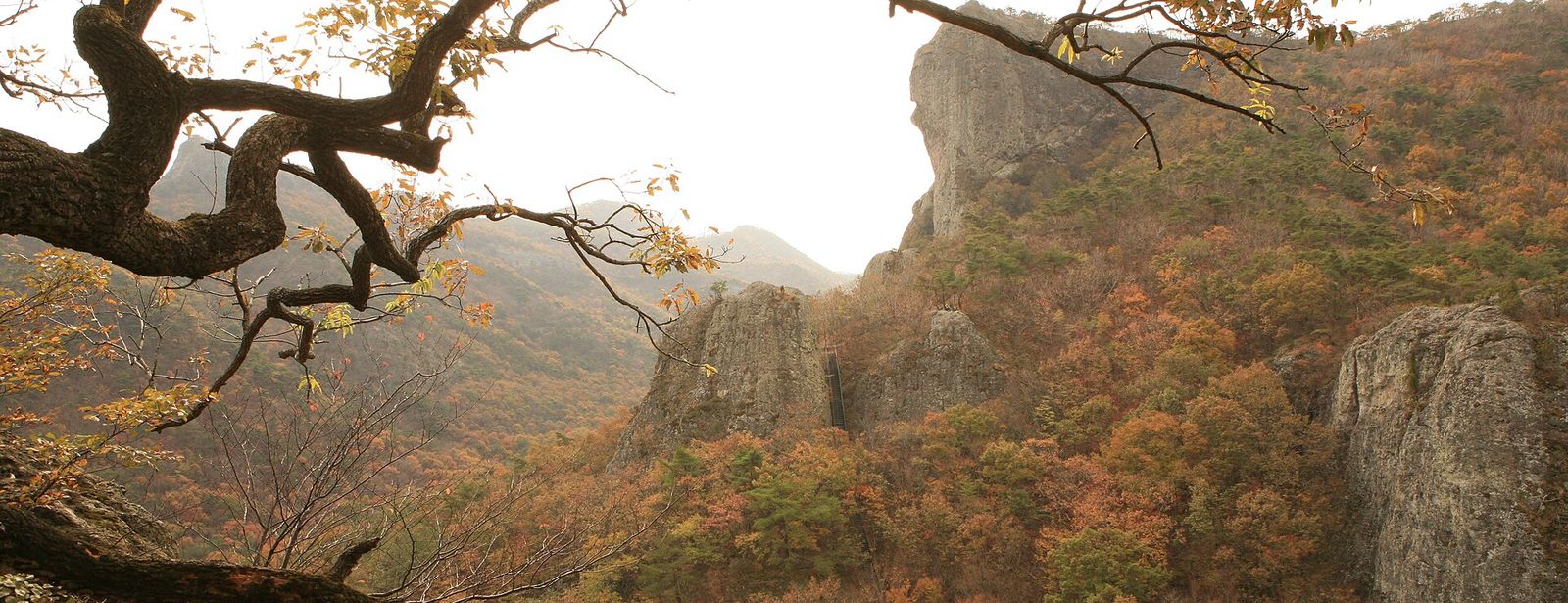 선운산