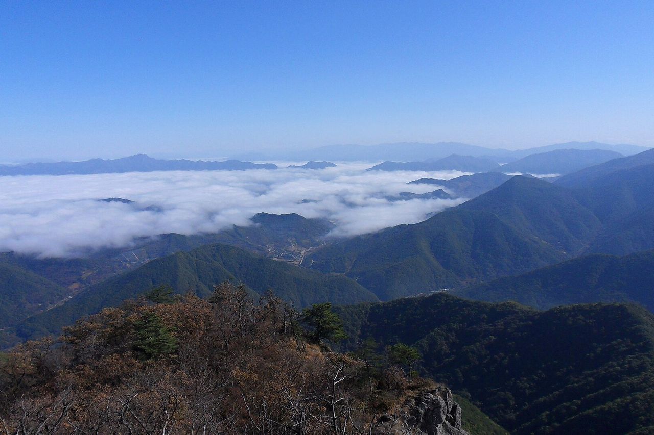 월악산에서 바라본 운해와 소백산 방면 능선