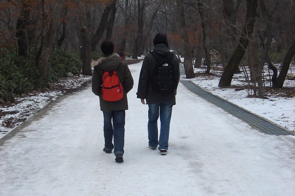 겨울 — 눈 쌓인 속리산 숲길 ⓒ최광모 · CC0
