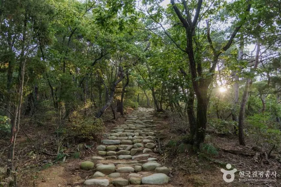Stone-laid forest path on the lower slopes of Bukhansan